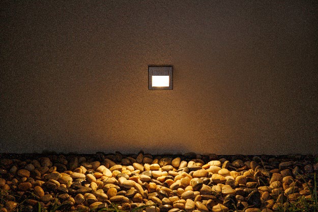 DA-WHITETANSY  LED - Image 3